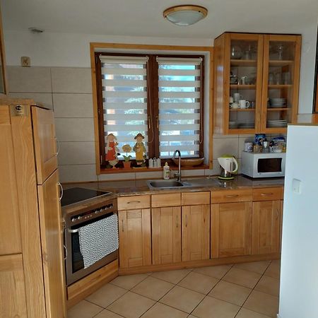 Apartament U Micka Poronin 5 Km Od Zakopanego Kültér fotó